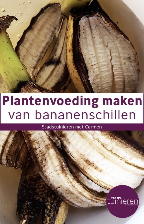 Plantenvoeding maken met bananenschillen