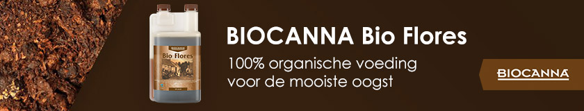 Plantenvoeding Biocanna stimuleert de vruchtvorming.
